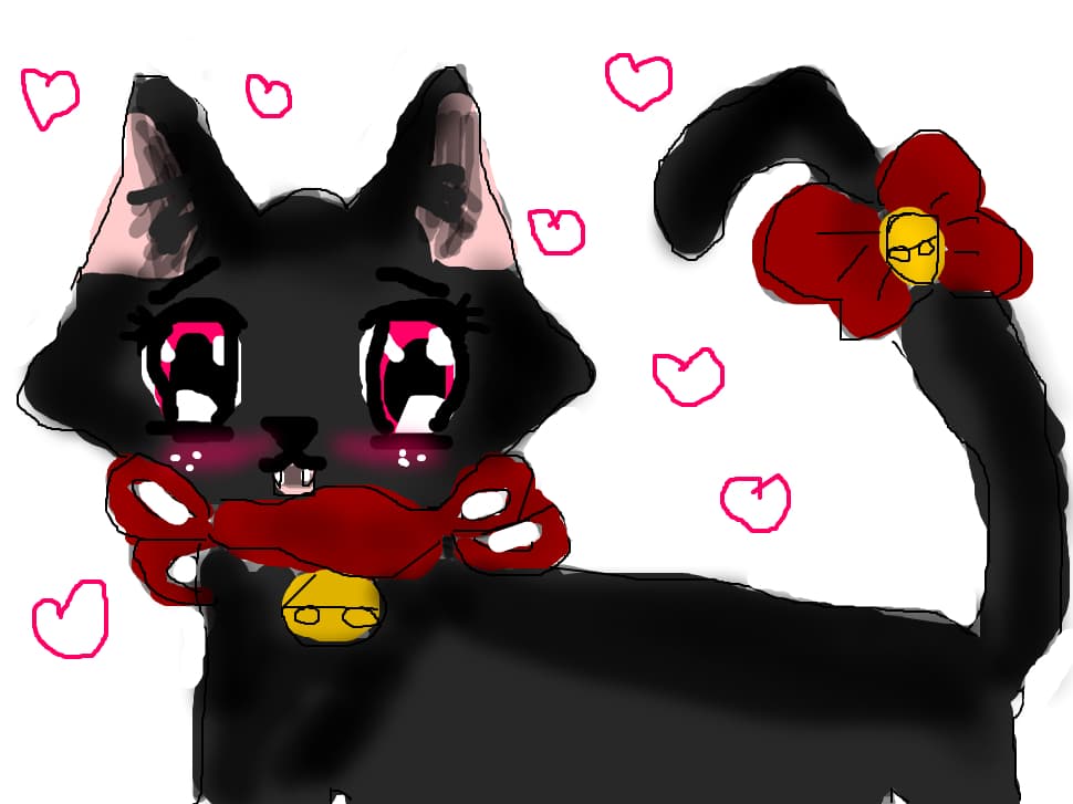 Zoey cat 2