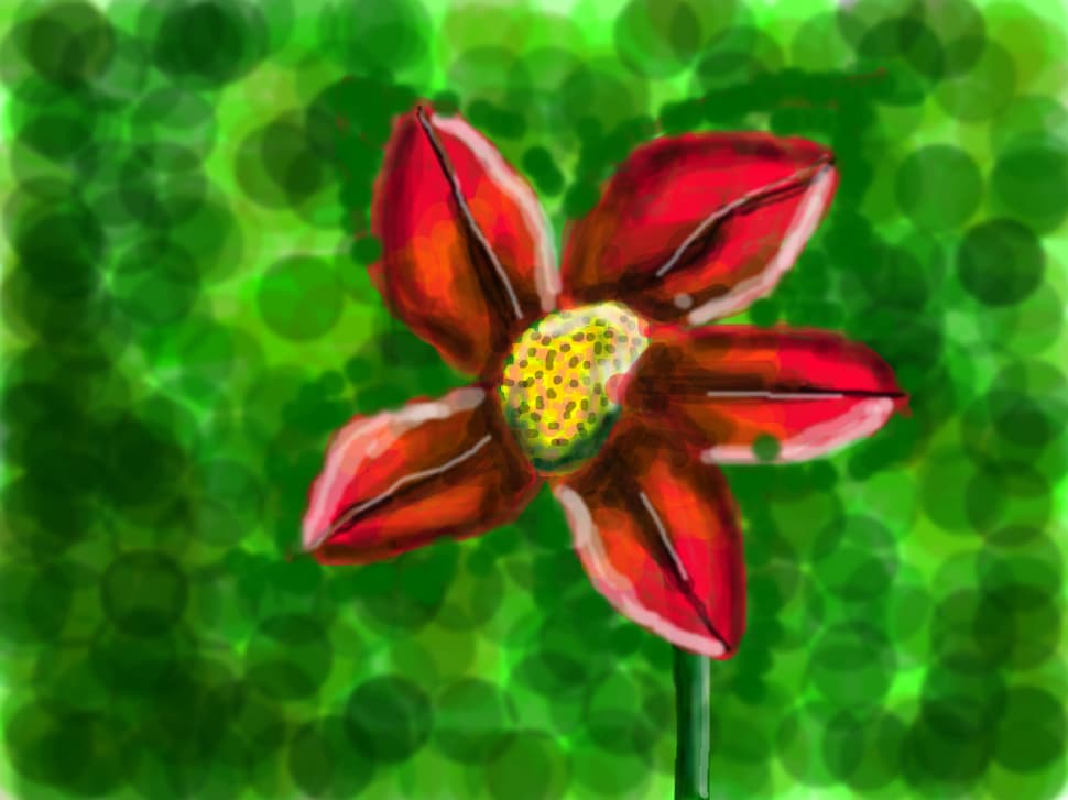 floare rosie