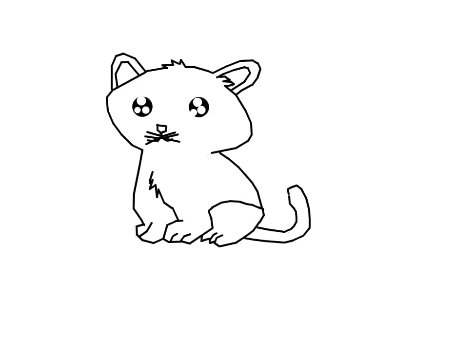 kitty kat