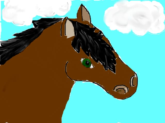 horse