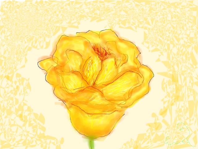 Rose for Cris.d.d