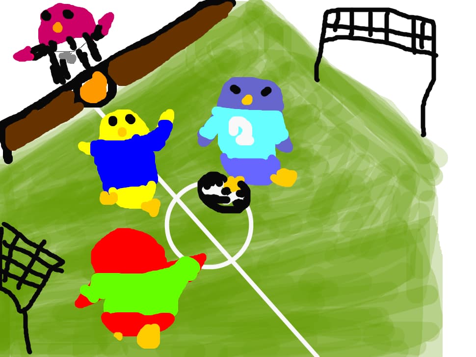 pe arena de fotbal