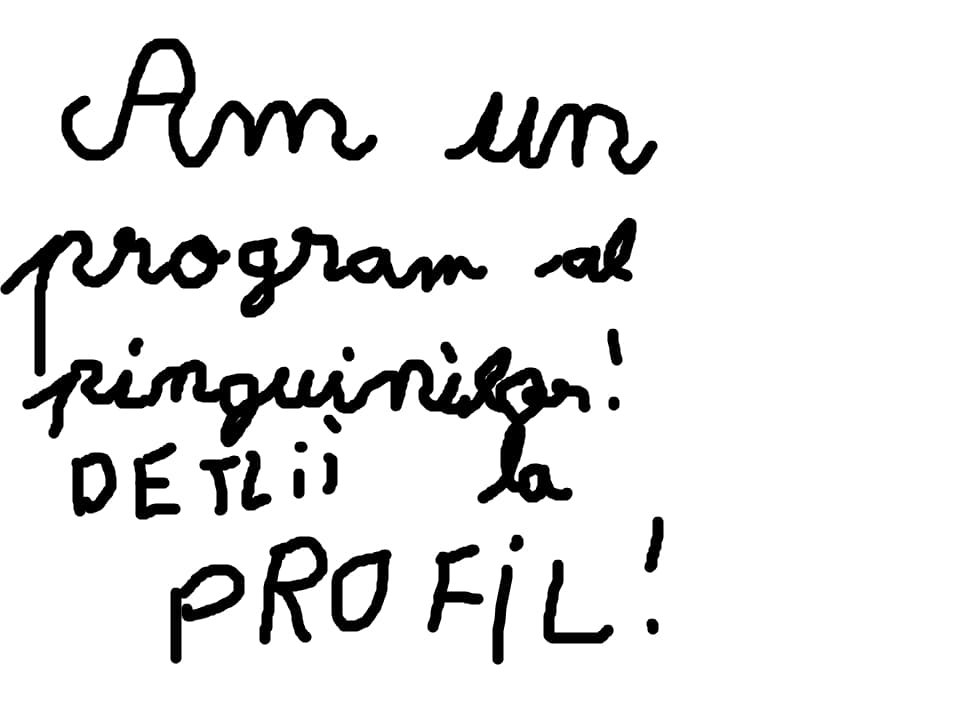 am un program al pinguinilor
