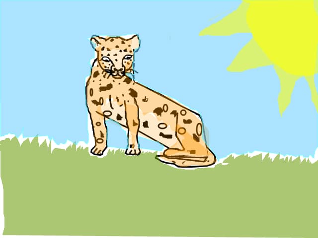 leopard