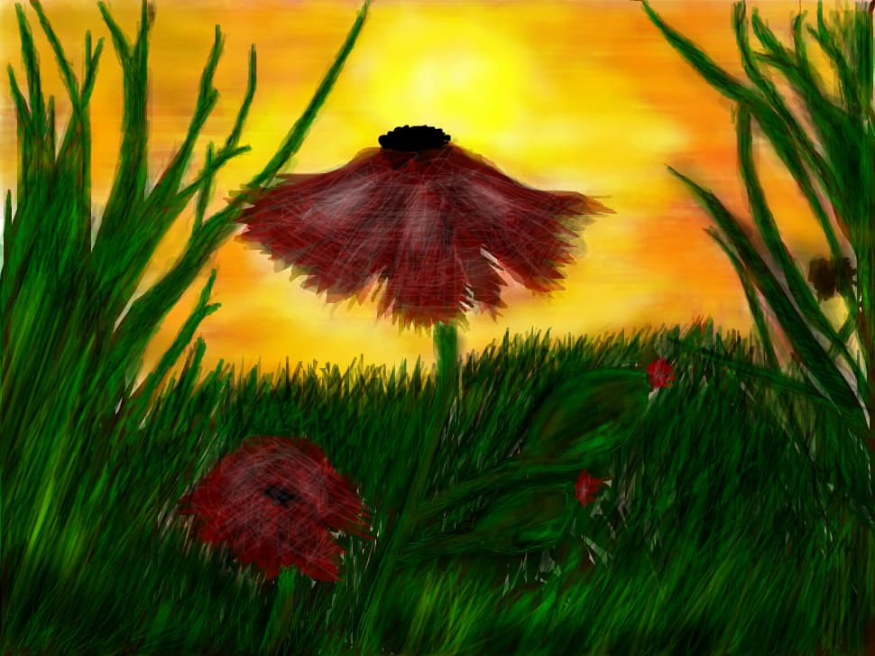 in natura