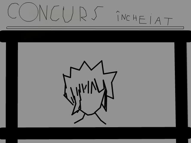Concurs incheiat