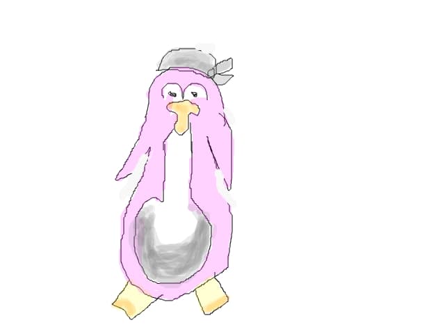 pinguinul meu pirat