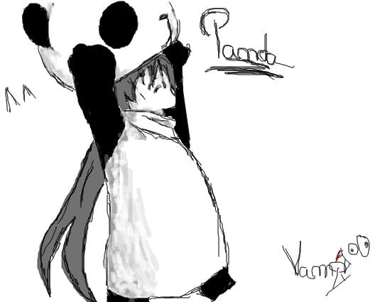 Cica e un Panda :] .