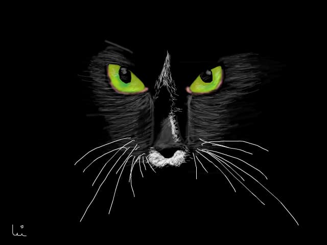 Kitty