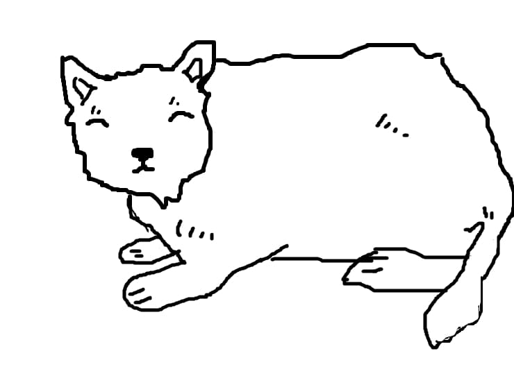 pisi
