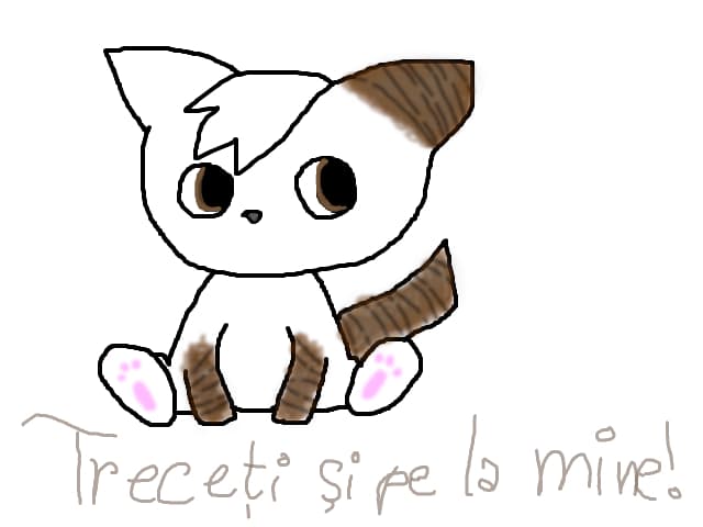Miau!♥