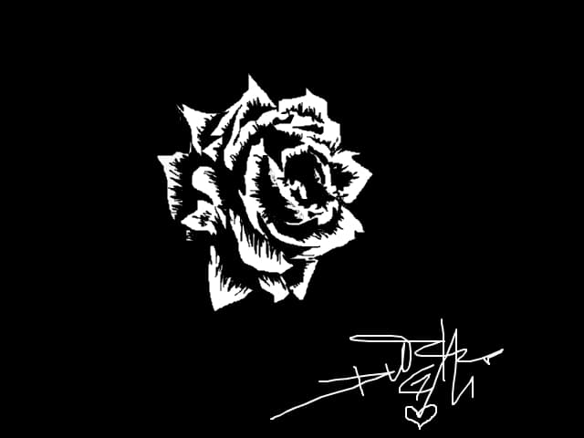 rose