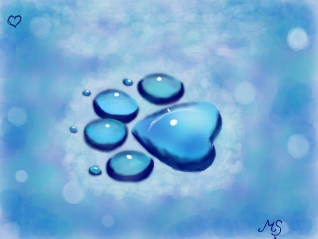 drop