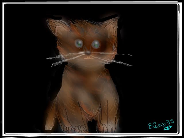 kitty