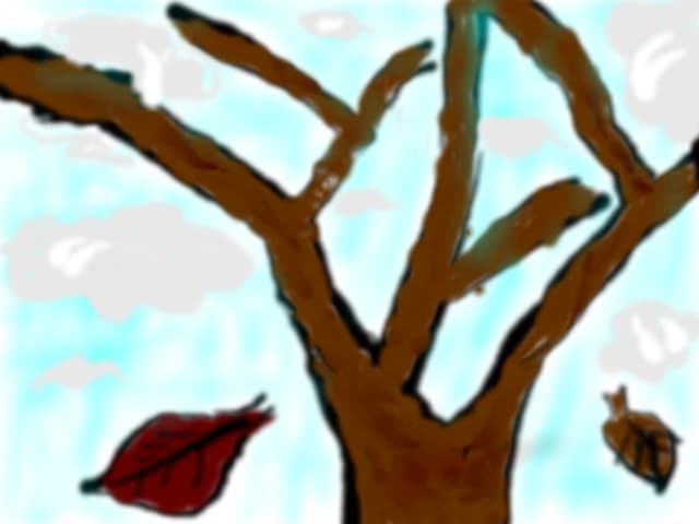 arbore