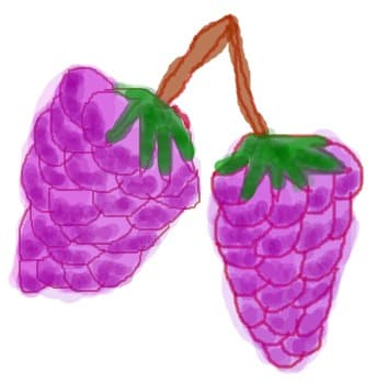 pot fii numiti strugur