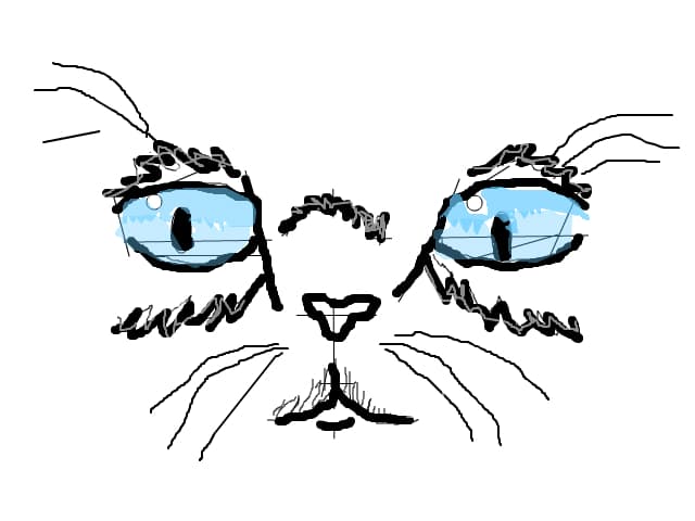 pisi