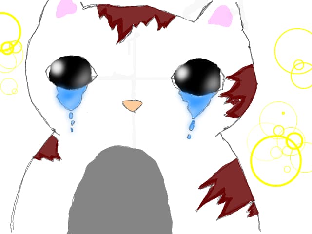 sad kitty:(