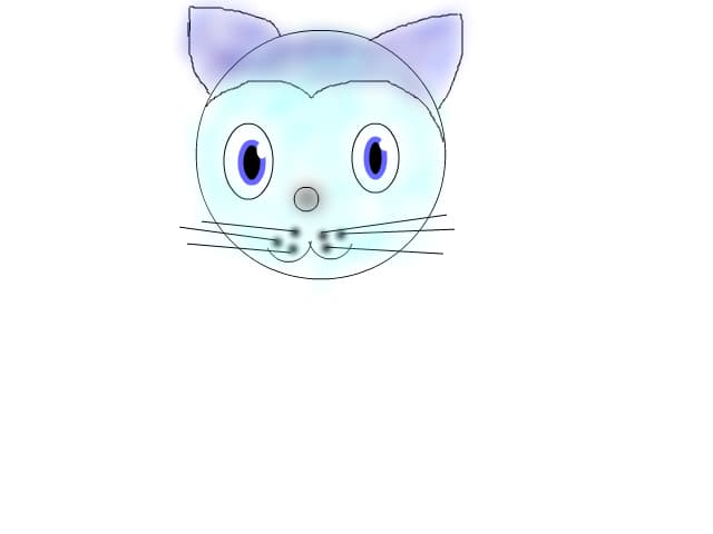 kitty