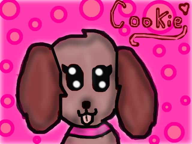Cookie :3