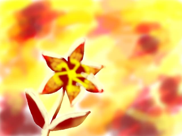 floare abstracta