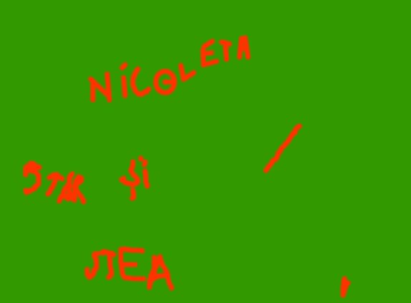 nicoleta star si stea