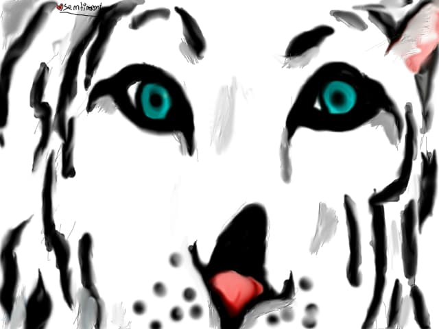 [Mare  => terminat] Rawr!:3.