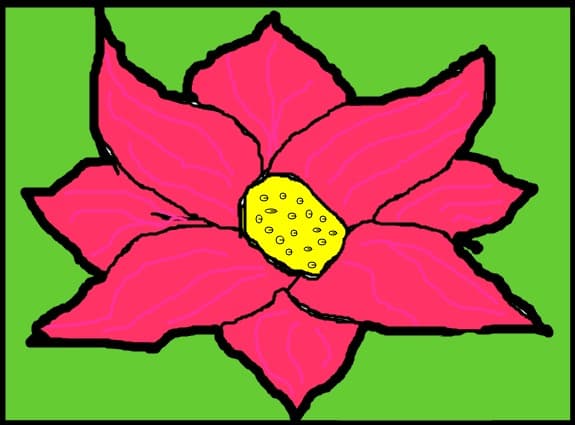 o floare ciudata