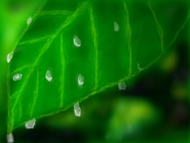 verde inrourat