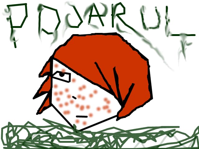 hidosul pojar