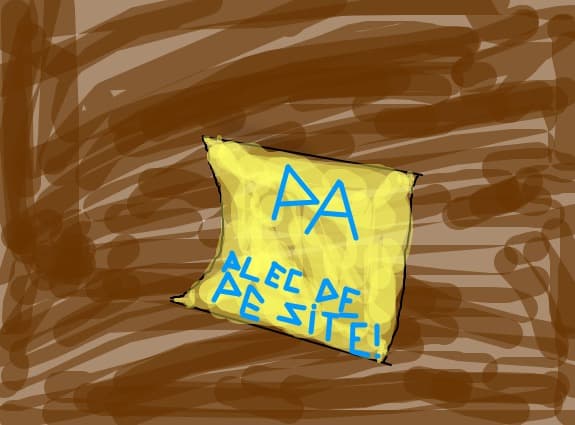 Pa!plec de pe acest site pentru ca desenele mele nu sunt apreciate