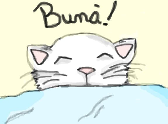 Buna sunt noua!