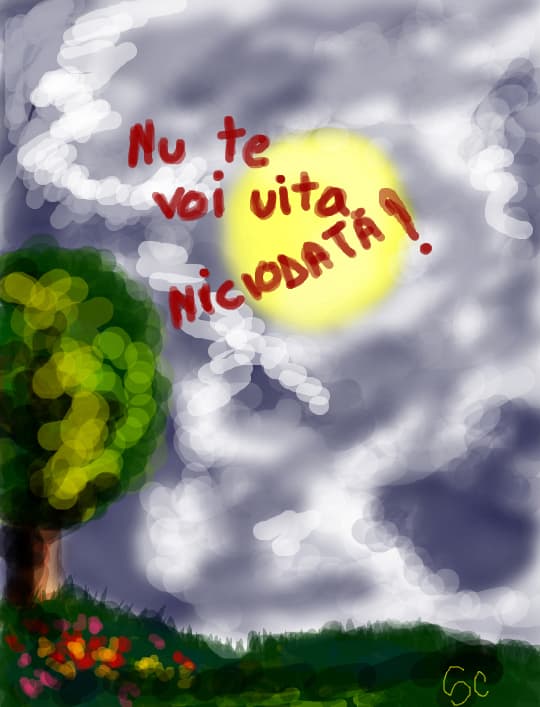 vei ramane in gandul meu si la bine si la greu...