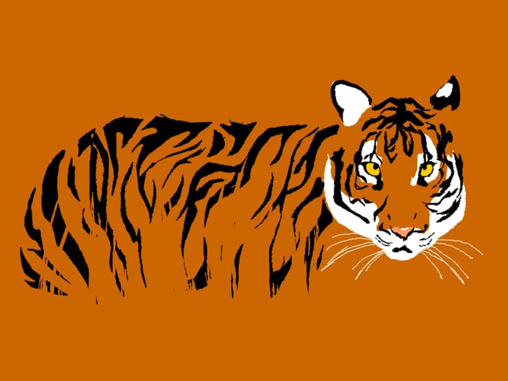 vector
