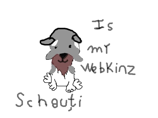 schnauti