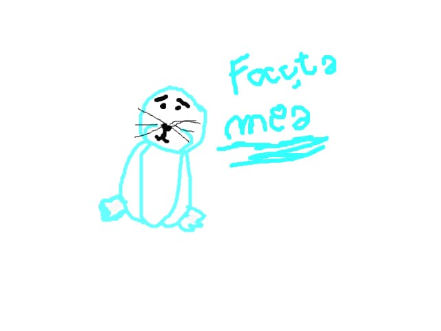 Focuta mea webkinz
