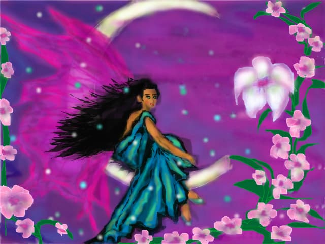 moon butterfly