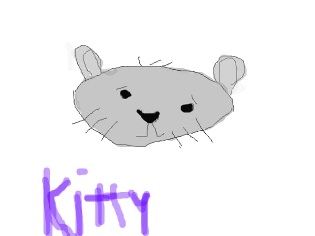 kitty