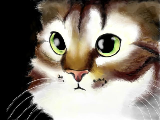 Meow?