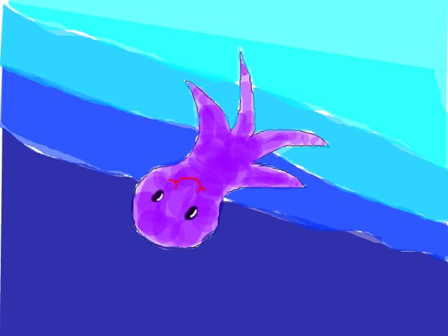 Caracatita