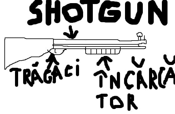 shotgun