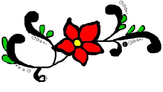 floarea magica