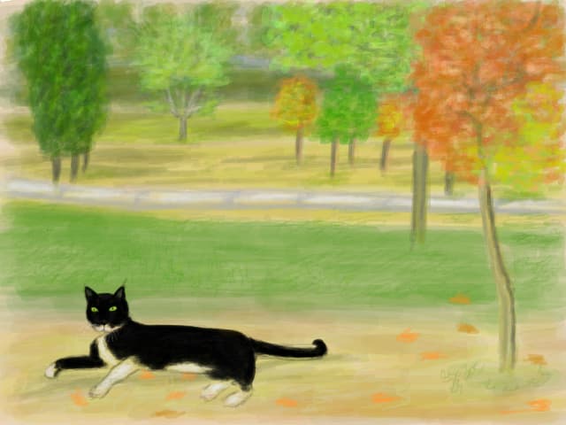 Canicula,in parc