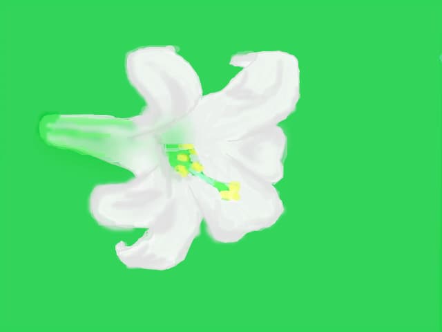 floare