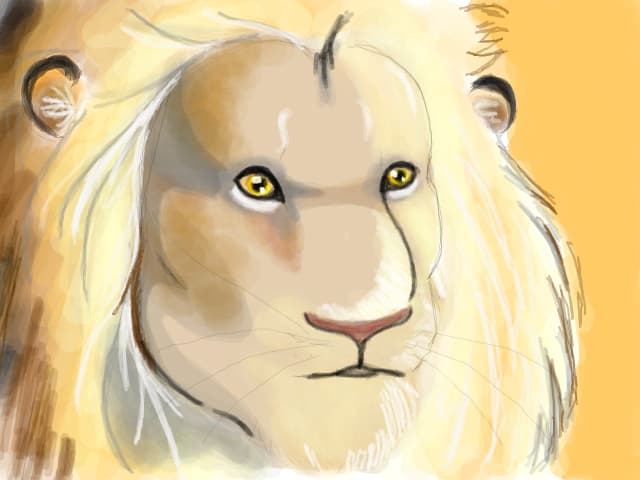 Aslan