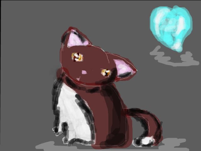 A kitty desen
