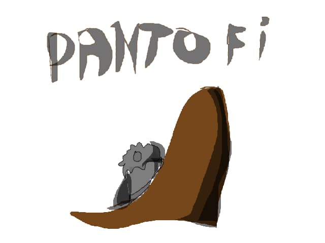 pantofi
