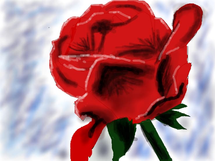 rose