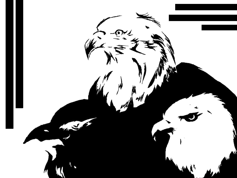 eagle