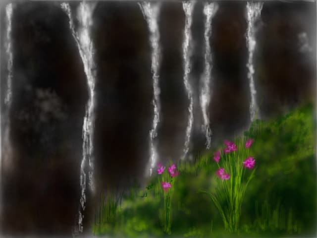 natura